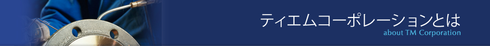 ティエムコーポレーションとは